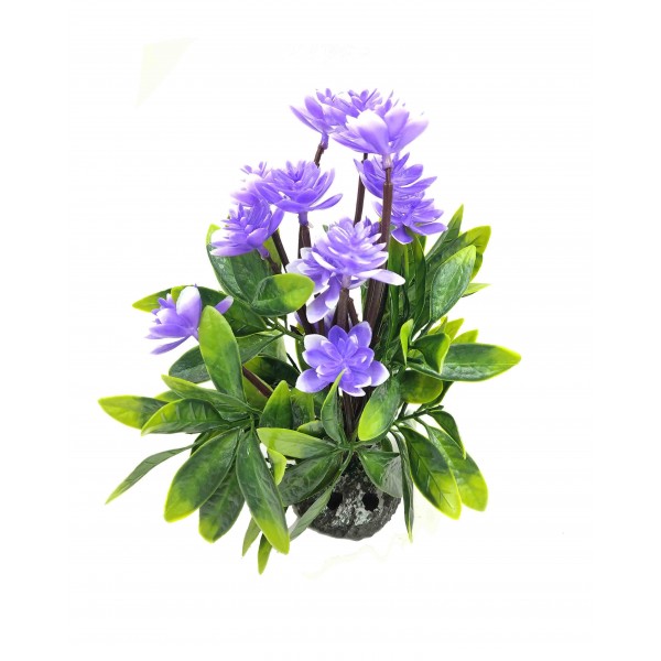 ΔΙΑΚΟΣΜΗΤΙΚΟ ΦΥΤΟ ΕΝΥΔΡΕΙΟΥ